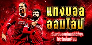 แทงบอลฟรีโบนัส